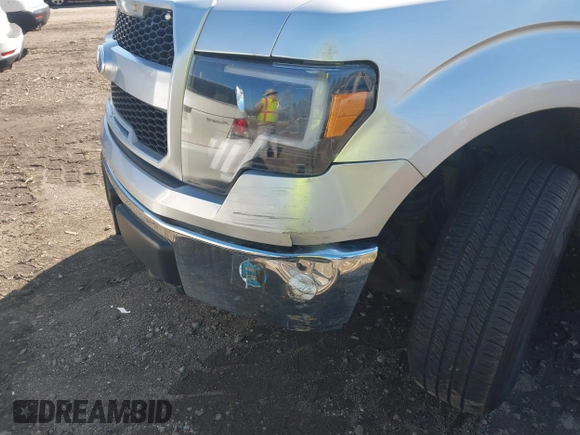 2009 Ford F-150 XL with VIN 1FTRW14879FA88633, listed as a IAAI auction lot 41904342 with 233,232 mi miles. Bid and sale history available at carsss.com. Image 6.