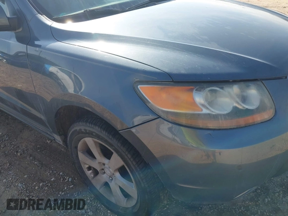 2007 Hyundai Santa Fe SE with VIN 5NMSH13E47H026349, listed as a IAAI auction lot 42680430 with 211,271 mi miles and . Bid and sale history available at DreamBid. Image 12.