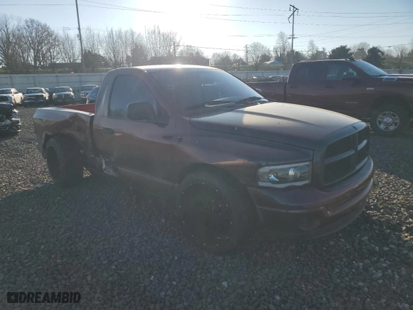 2003 Dodge Ram 1500 ST with VIN 1D7HA16NX3J667087, listed as a Copart auction lot 43028795 with 138,703 mi miles and Salvage Title. Bid and sale history available at carsss.com. Image 4.