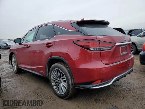 2020 Lexus RX with VIN 2T2JGMDA4LC047239, listed as a Copart auction lot 47558355 with 28,253 mi miles and Salvage Title. Bid and sale history available at carsss.com. Image 2.