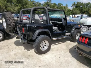 1995 Jeep Wrangler with VIN 1J4FY29SXSP230216, listed as a Copart auction lot 77257834 with 144,217 mi miles and Salvage Title. Bid and sale history available at carsss.com. Image 3.