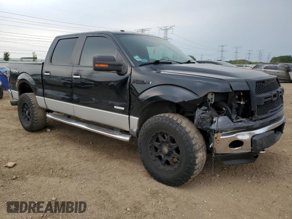 2011 Ford F-150 XLT with VIN 1FTFW1ET4BFC98666, listed as a Copart auction lot 59034455 with 175,742 mi miles and Salvage title. Bid and sale history available at DreamBid. Image 4.