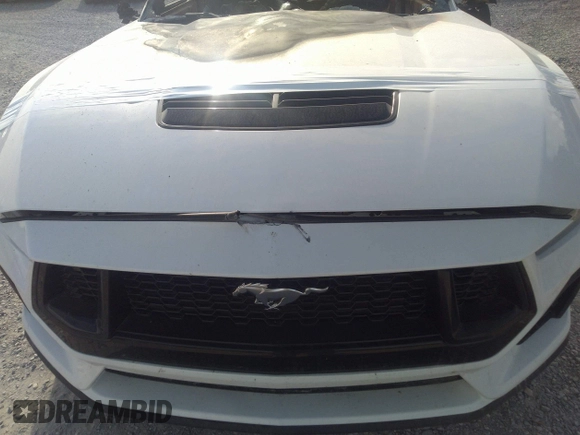 2024 Ford Mustang GT with VIN 1FA6P8CF5R5412439, listed as a IAAI auction lot 40215878 with Not provided miles and . Bid and sale history available at DreamBid. Image 12.