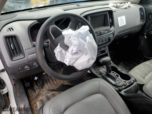 2019 Chevrolet Colorado 4WD Work Truck with VIN 1GCHTBEA4K1270286, listed as a Copart auction lot 40234684 with 0 mi miles and Salvage Title. Bid and sale history available at carsss.com. Image 8.