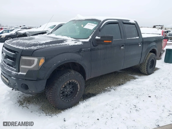 2013 Ford F-150 XL with VIN 1FTFW1ET6DFD59101, listed as a IAAI auction lot 41573523 with 179,400 mi miles. Bid and sale history available at carsss.com. Image 18.