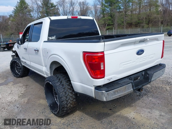 2023 Ford F-150 XL with VIN 1FTEW1C58PKE81292, listed as a IAAI auction lot 41900494 with 34,753 mi miles and . Bid and sale history available at DreamBid. Image 3.