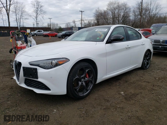 2019 Alfa Romeo Giulia with VIN ZARFANANXK7622362, listed as a Copart auction lot 46535223 with 28,946 mi miles. Bid and sale history available at carsss.com. Image 1.