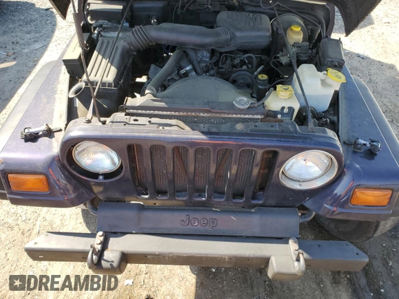 1998 Jeep Wrangler SE with VIN 1J4FY29P0WP784334, listed as a Copart auction lot 52384075 with 0 mi miles and Salvage Title. Bid and sale history available at carsss.com. Image 12.