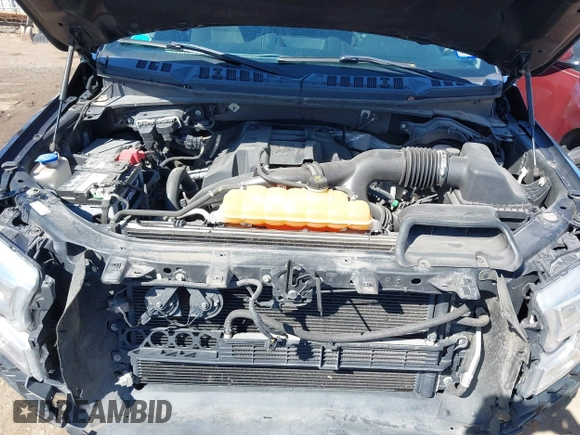 2017 Ford F-150 XL with VIN 1FTEW1EP1HFB84843, listed as a IAAI auction lot 41774804 with 138,748 mi miles. Bid and sale history available at carsss.com. Image 10.