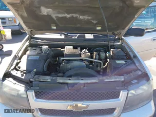 2008 Chevrolet TrailBlazer LT w/1LT with VIN 1GNDS13S982258135, listed as a IAAI auction lot 41579981 with 206,245 mi miles. Bid and sale history available at carsss.com. Image 10.