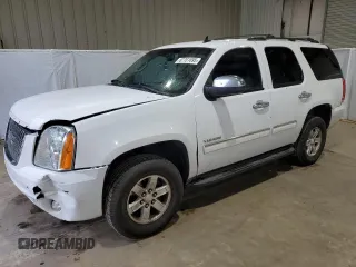 2013 GMC Yukon SLE with VIN 1GKS1AE06DR281179, listed as a Copart auction lot 87761895 with 222,603 mi miles and Salvage Title. Bid and sale history available at carsss.com. Image 1.