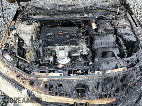 2024 Honda Civic Sport with VIN 2HGFE2F53RH557537, listed as a Copart auction lot 54697835 with Not provided miles and Salvage title. Bid and sale history available at DreamBid. Image 11.