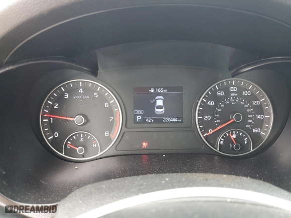2019 Kia Optima LX with VIN 5XXGT4L32KG346958, listed as a Copart auction lot 87794115 with 228,444 mi miles and Salvage Title. Bid and sale history available at carsss.com. Image 9.