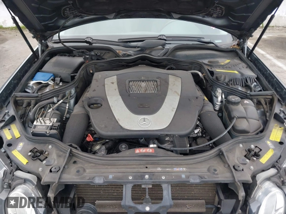 2009 Mercedes-Benz E 350 with VIN WDBUH87X89B395749, listed as a IAAI auction lot 41890718 with 113,490 mi miles and . Bid and sale history available at DreamBid. Image 10.