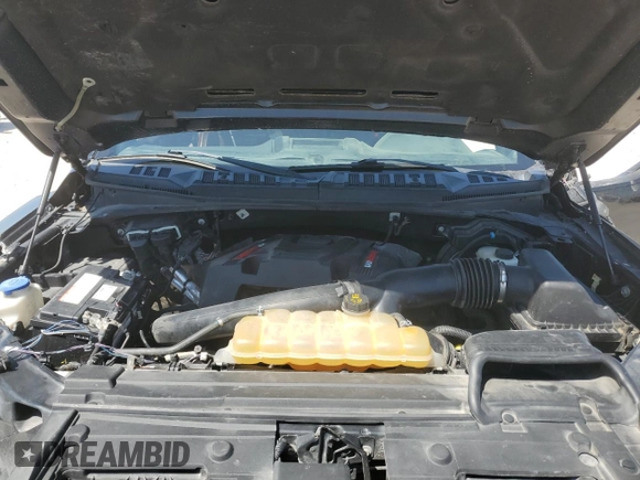 2019 Ford F-150 Raptor with VIN 1FTFW1RG0KFB43691, listed as a Copart auction lot 51160605 with 174,785 mi miles and Salvage Title. Bid and sale history available at carsss.com. Image 11.