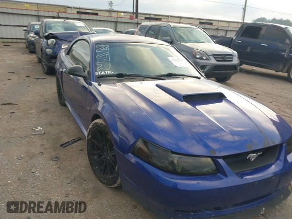 2003 Ford Mustang GT Deluxe with VIN 1FAFP42X13F416248, listed as a IAAI auction lot 41225176 with 134,002 mi miles. Bid and sale history available at carsss.com. Image 1.