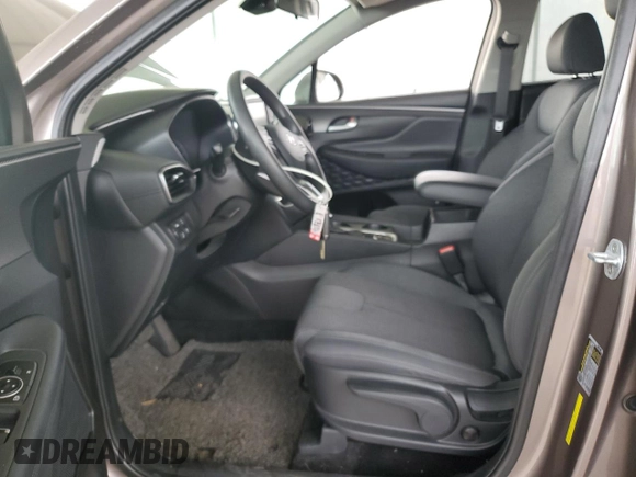 2019 Hyundai Santa Fe SE with VIN 5NMS2CAD6KH094524, listed as a Copart auction lot 36191653 with 63,098 mi miles. Bid and sale history available at carsss.com. Image 7.