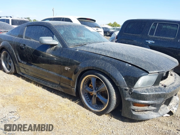 2006 Ford Mustang GT Deluxe with VIN 1ZVFT82H065257638, listed as a IAAI auction lot 40384311 with Not provided miles and . Bid and sale history available at DreamBid. Image 12.