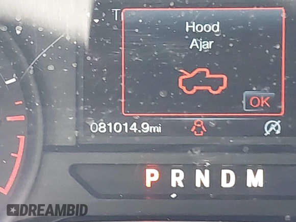 2019 Ford F-150 XL с VIN 1FTEW1CP7KKE04696, выставлен на аукционе IAAI как лот 42235664 с пробегом 81 014 миль миль и . История ставок и продаж доступна на DreamBid. Изображение 15.