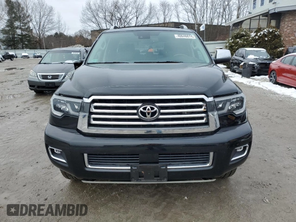 2018 Toyota Sequoia Platinum with VIN 5TDDY5G10JS161307, listed as a Copart auction lot 40646674 with 46,751 mi miles. Bid and sale history available at carsss.com. Image 5.