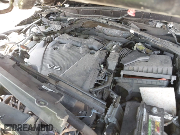 2016 Nissan Maxima SL with VIN 1N4AA6AP2GC403184, listed as a IAAI auction lot 41837742 with Not Provided miles and . Bid and sale history available at DreamBid. Image 10.