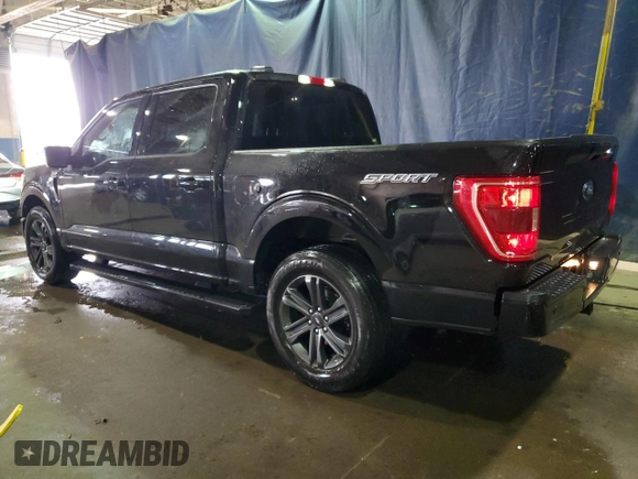 2023 Ford F-150 XL with VIN 1FTEW1C57PFB83938, listed as a Copart auction lot 52502865 with 48,965 mi miles and Non Repairable. Bid and sale history available at carsss.com. Image 2.