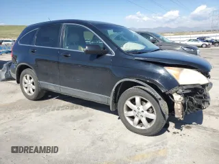 2009 Honda CR-V EX-L with VIN JHLRE38789C011323, listed as a Copart auction lot 54554445 with 228,363 mi miles and Salvage Title. Bid and sale history available at carsss.com. Image 4.
