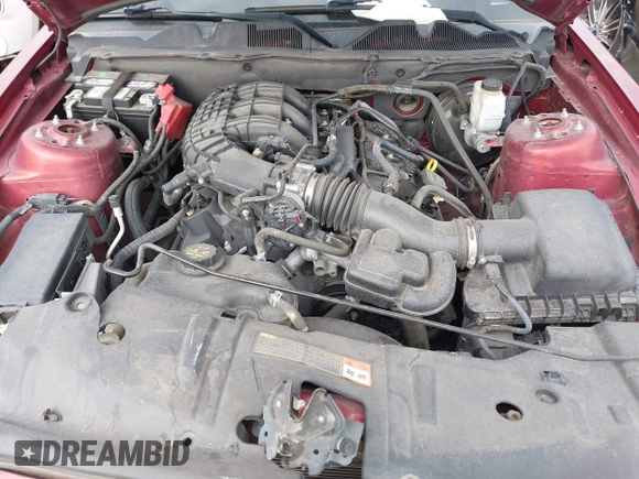 2014 Ford Mustang V6 with VIN 1ZVBP8AM7E5299126, listed as a IAAI auction lot 42343555 with 115,331 mi miles and . Bid and sale history available at DreamBid. Image 10.