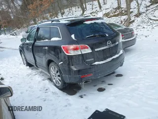 2009 Mazda CX-9 Touring with VIN JM3TB38V790165623, listed as a IAAI auction lot 41258693 with Not Provided miles. Bid and sale history available at carsss.com. Image 3.