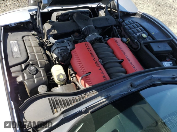 2002 Chevrolet Corvette Z06 with VIN 1G1YY12S125114104, listed as a Copart auction lot 50269265 with 110,091 mi miles and Salvage Title. Bid and sale history available at carsss.com. Image 11.