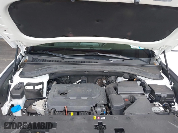 2019 Hyundai Santa Fe SE with VIN 5NMS2CAD2KH116731, listed as a IAAI auction lot 42689306 with 55,213 mi miles and . Bid and sale history available at DreamBid. Image 10.