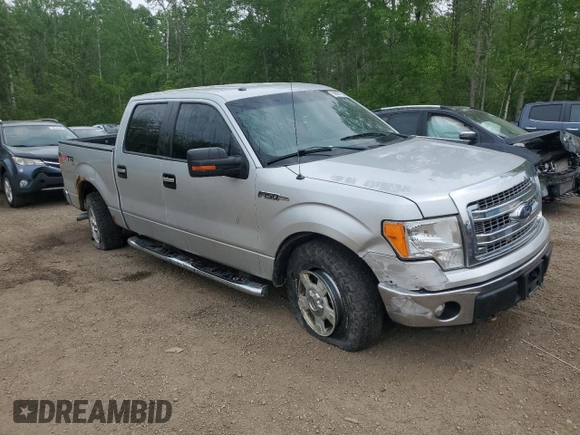 2013 Ford F-150 XL with VIN 1FTFW1EF7DKE73822, listed as a Copart auction lot 59001795 with 358,444 mi miles and Clean title. Bid and sale history available at DreamBid. Image 4.