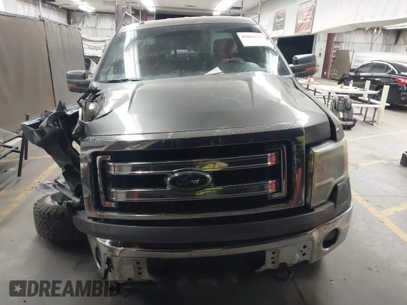 2014 Ford F-150 XL with VIN 1FTFX1EF6EFB64592, listed as a IAAI auction lot 41864196 with Not Provided miles and . Bid and sale history available at carsss.com. Image 12.