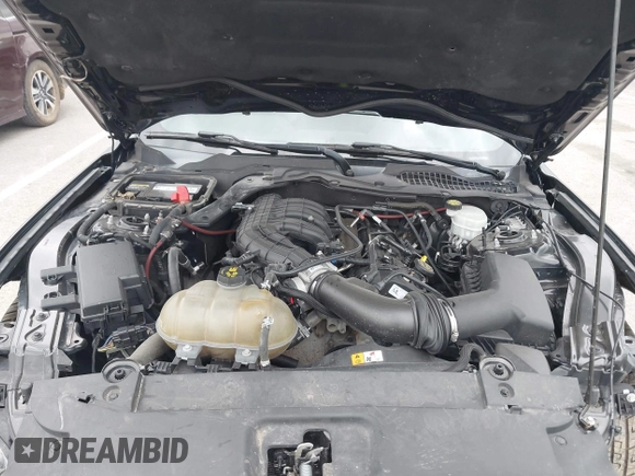 2017 Ford Mustang V6 with VIN 1FA6P8AM8H5280924, listed as a IAAI auction lot 41938096 with 167,622 mi miles and . Bid and sale history available at DreamBid. Image 10.