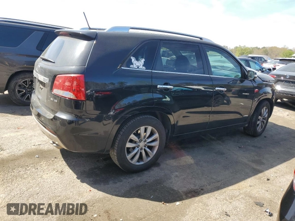 2011 Kia Sorento SX with VIN 5XYKWDA2XBG119038, listed as a Copart auction lot 50416895 with Not Provided miles and Salvage Title. Bid and sale history available at carsss.com. Image 3.