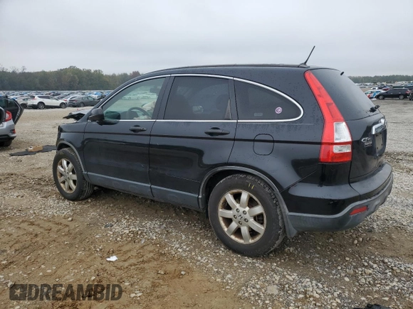 2007 Honda CR-V EX with VIN JHLRE38537C035198, listed as a Copart auction lot 80092344 with 181,254 mi miles and Clean Title. Bid and sale history available at carsss.com. Image 2.