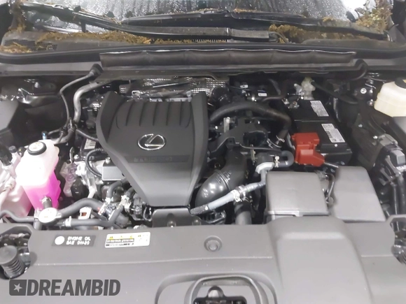 2025 Lexus RX 350 with VIN 2T2BAMCA6SC095265, listed as a IAAI auction lot 42326558 with 2,928 mi miles and . Bid and sale history available at DreamBid. Image 10.