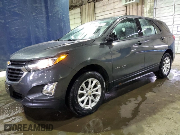 2019 Chevrolet Equinox LS with VIN 2GNAXHEV3K6203596, listed as a Copart auction lot 89193765 with 65,493 mi miles and Clean Title. Bid and sale history available at DreamBid. Image 1.