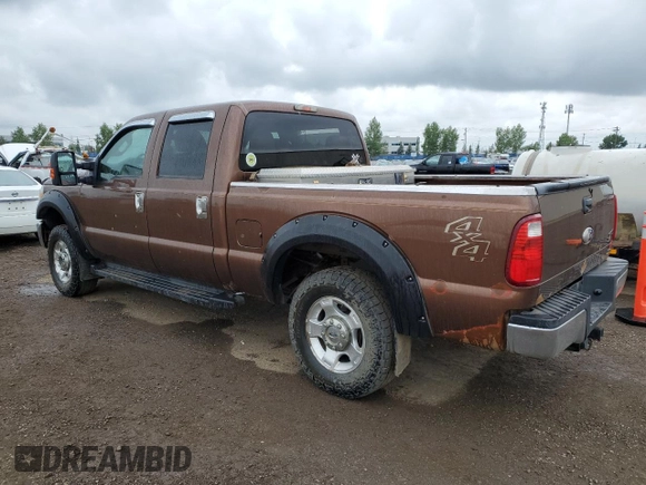 2011 Ford F-250 XL with VIN 1FT7W2B69BEC99908, listed as a Copart auction lot 61919585 with 410,259 mi miles and Salvage title. Bid and sale history available at DreamBid. Image 2.