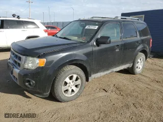 2009 Ford Escape Limited with VIN 1FMCU94G79KC56534, listed as a Copart auction lot 49623755 with 148,369 mi miles and Clean Title. Bid and sale history available at carsss.com. Image 1.