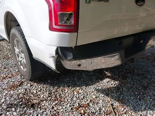 2015 Ford F-150 XL with VIN 1FTEX1CP0FKD86433, listed as a IAAI auction lot 42480895 with 159,963 mi miles and . Bid and sale history available at DreamBid. Image 17.