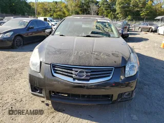 2008 Nissan Maxima 3.5 SE with VIN 1N4BA41E48C827541, listed as a Copart auction lot 76682744 with 0 mi miles and Salvage Title. Bid and sale history available at carsss.com. Image 5.