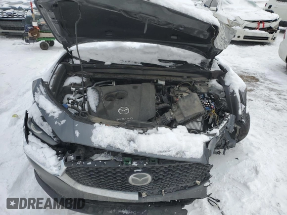2020 Mazda CX-30 Select with VIN 3MVDMBCL0LM125331, listed as a Copart auction lot 43051355 with Not Provided miles and Non Repairable. Bid and sale history available at DreamBid. Image 12.