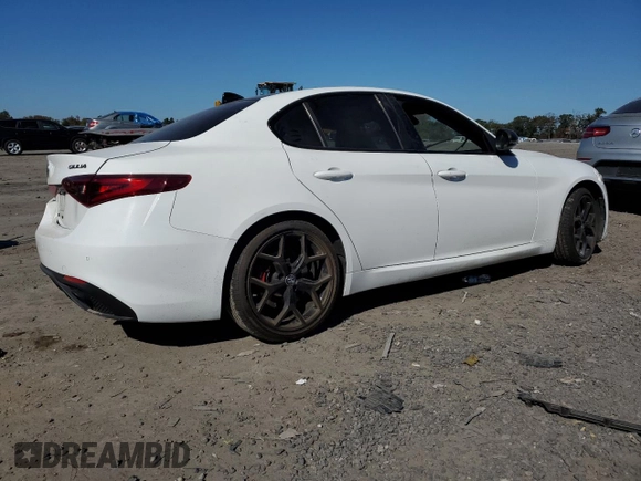 2019 Alfa Romeo Giulia Sport with VIN ZARFAMAN2K7613021, listed as a Copart auction lot 76203064 with 0 mi miles and Salvage Title. Bid and sale history available at carsss.com. Image 3.