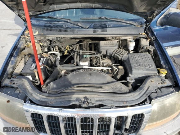 1999 Jeep Grand Cherokee Laredo with VIN 1J4GW58S0XC653687, listed as a Copart auction lot 81166844 with 252,330 mi miles and Salvage Title. Bid and sale history available at carsss.com. Image 12.