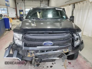 2015 Ford F-150 XLT with VIN 1FTEX1EP5FFC13030, listed as a Copart auction lot 46845495 with 177,880 mi miles and Salvage Title. Bid and sale history available at carsss.com. Image 5.