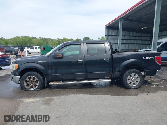 2010 Ford F-150 XL with VIN 1FTFW1EV6AFC64356, listed as a IAAI auction lot 41959894 with 246,154 mi miles and . Bid and sale history available at DreamBid. Image 14.
