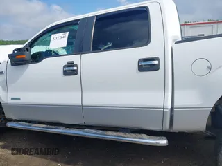 2011 Ford F-150 XLT with VIN 1FTFW1ET7BFC45136, listed as a IAAI auction lot 42177848 with Not provided miles and . Bid and sale history available at DreamBid. Image 14.