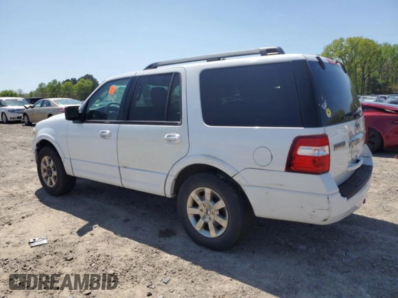 2009 Ford Expedition SSV with VIN 1FMFU16549EA86528, listed as a Copart auction lot 52401805 with 224,366 mi miles and Clean Title. Bid and sale history available at DreamBid. Image 2.