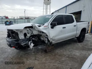 2019 Chevrolet Silverado 1500 LT Trail Boss with VIN 1GCPYFED2KZ127451, listed as a Copart auction lot 42138355 with 91,871 mi miles and Salvage Title. Bid and sale history available at DreamBid. Image 1.